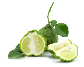 베르가못 효능 효과&amp;#44; 베르가못 제품