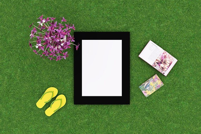 키우기 쉬운 식물로 컬러 조화