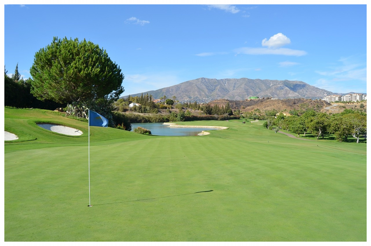 골핑 블랙프라이데이