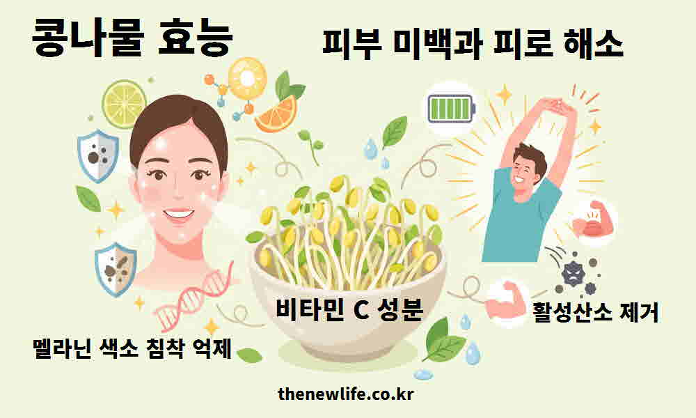 콩나물 효능 피부 미백 피로 해소