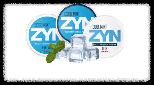 2023년 판매량: 2022년보다 162% 판매