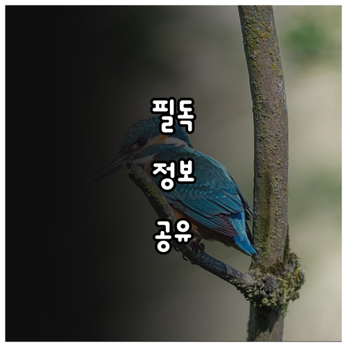 2025년 보령시 이사 계획? 근로자..