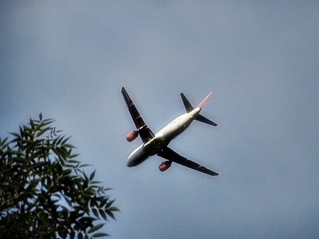 스카이패스 마일리지 조회