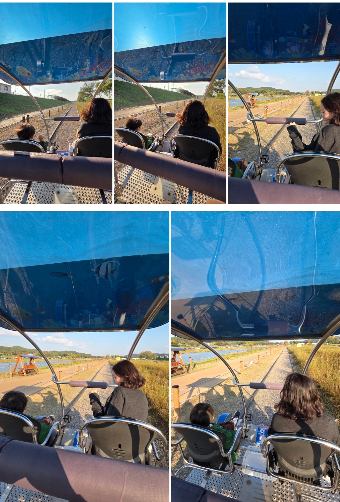 진위천 유원지 (버블쇼와 레일바이크)