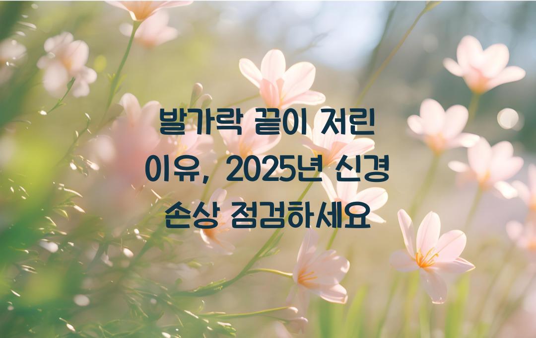 발가락 끝이 저린 이유, 신경 손상 신호? 지금 점검하세요!