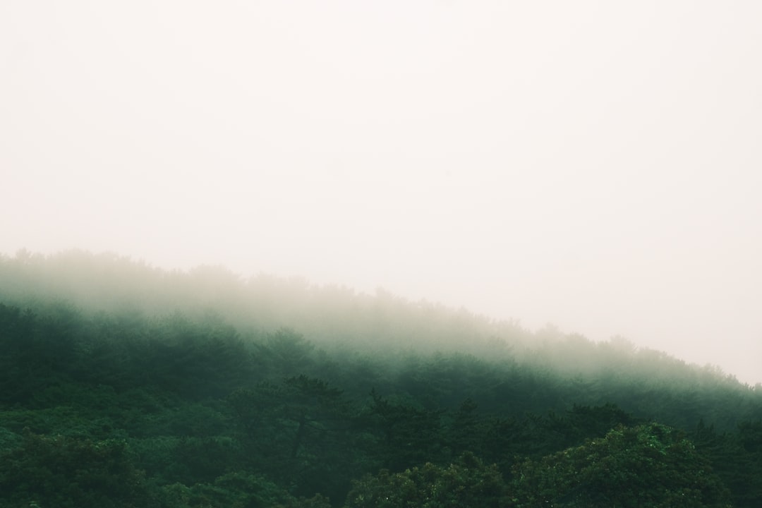 Jeju Island