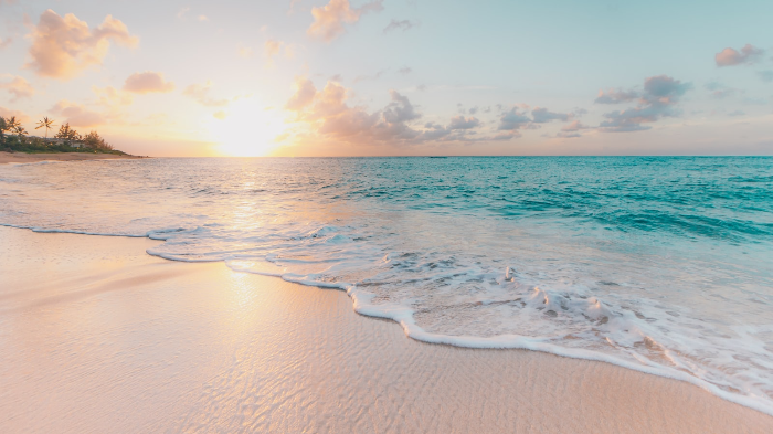 A Sustainable Travel Plan 5