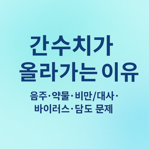 간수치가 올라가는 이유