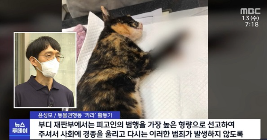 고향이학대범-실형구형