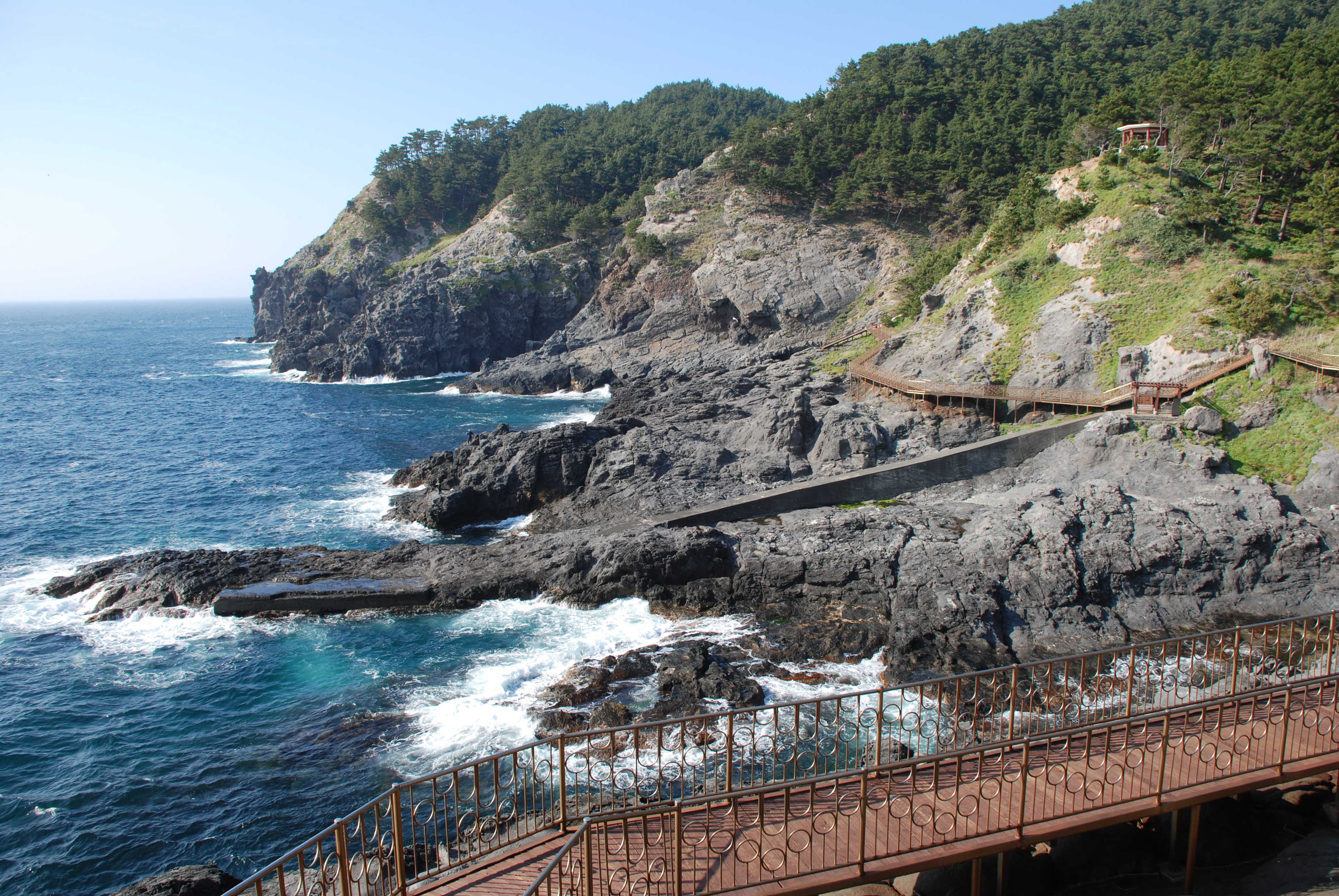 울릉도의-시원한-전경