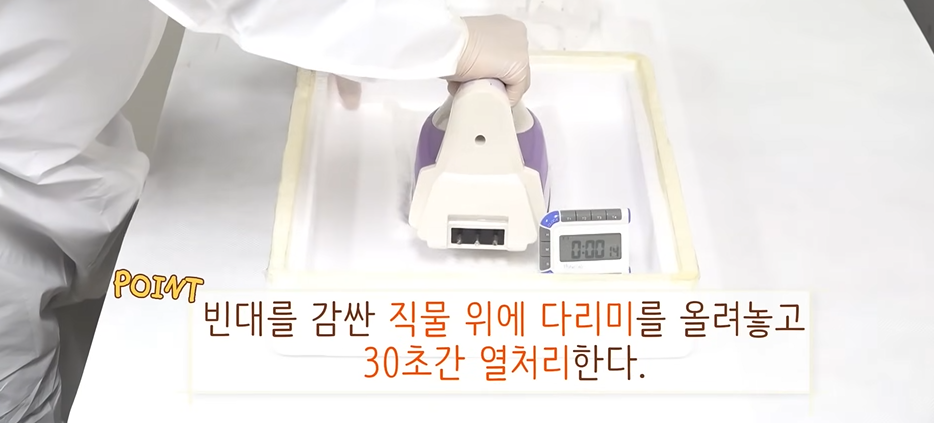 빈대 퇴치법