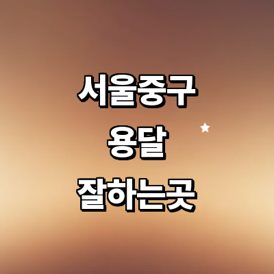 서울 중구 용달