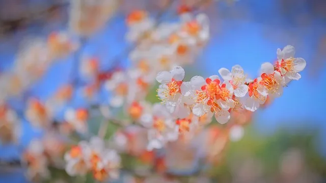 안동 맛집 베스트10 방송 출연 블루리본 맛집_7