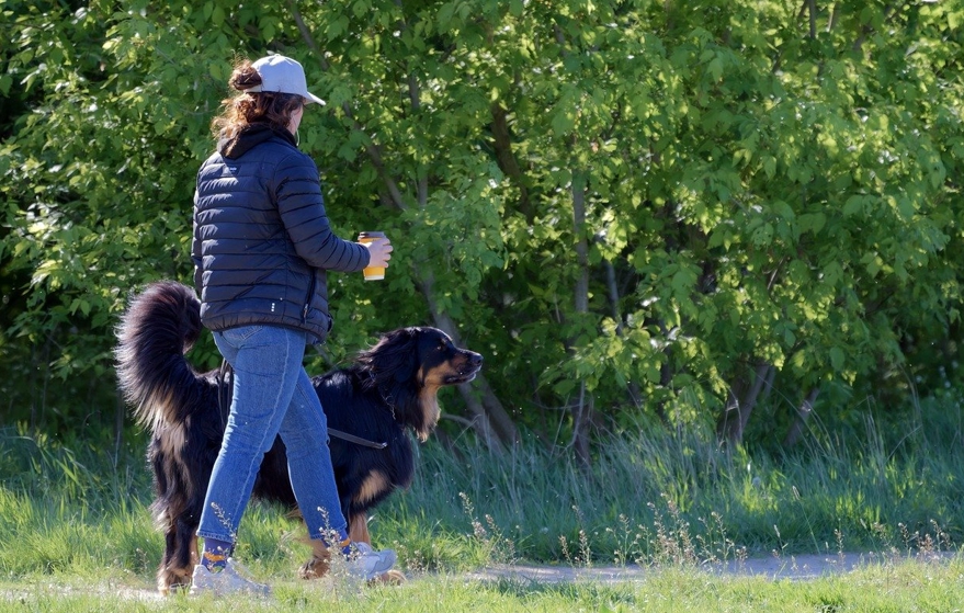 걷기: 일상 속 작은 여행