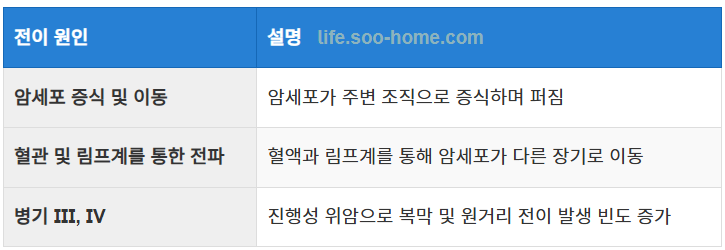 위암 전이의 주요 원인