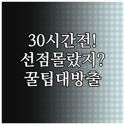 KLM네덜란드항공 출발 30시간 전 ..