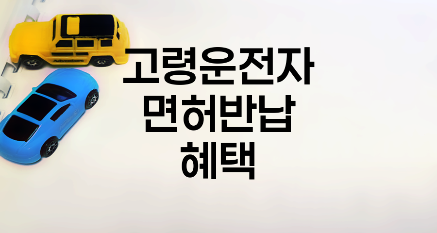 고령운전자 면허반납 제도와 혜택