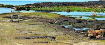 비양도 여행 코스 추천