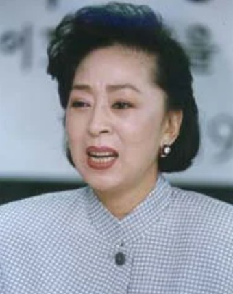 배우-김지미