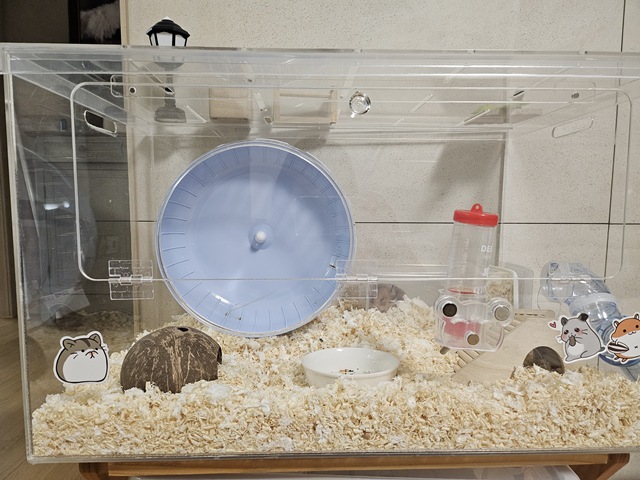 육아 중인 골든햄스터 바닥재 깊이 5cm