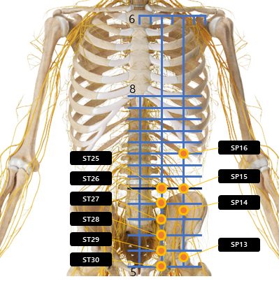 복부 주변 혈자리 요약