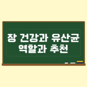 장 건강과 유산균의 역할과 추천