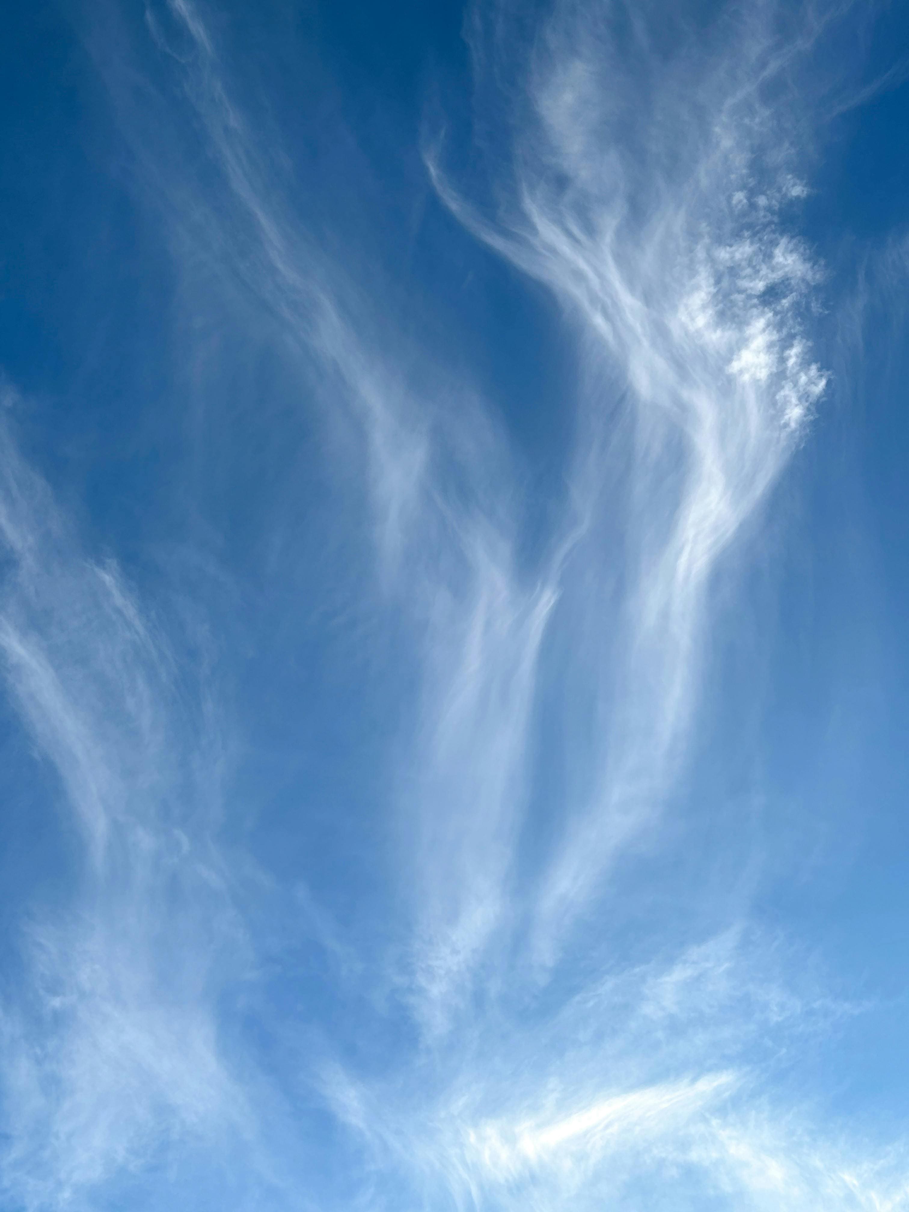 AWS측정소
