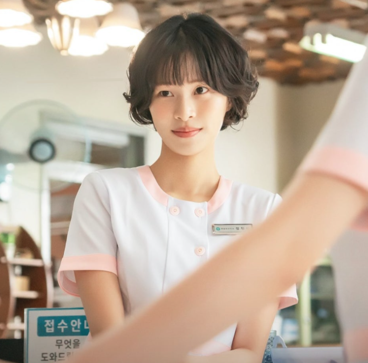 닥터 섬보이 원작 존버닥터 웹툰과 드라마 차이 정리