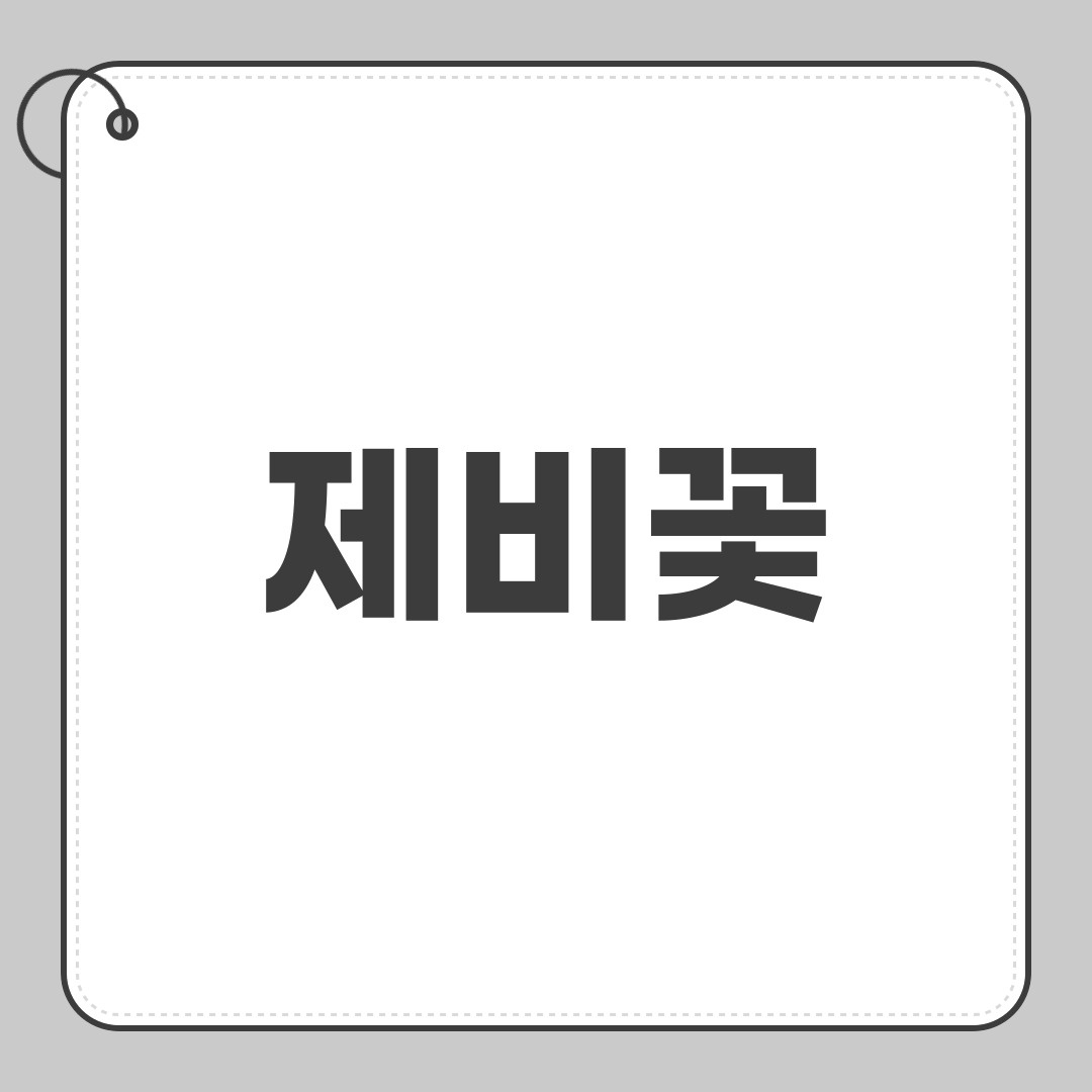 제비꽃