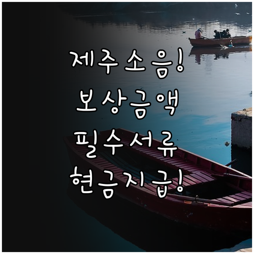 제주공항 인근 군소음 보상금 등급별 ..