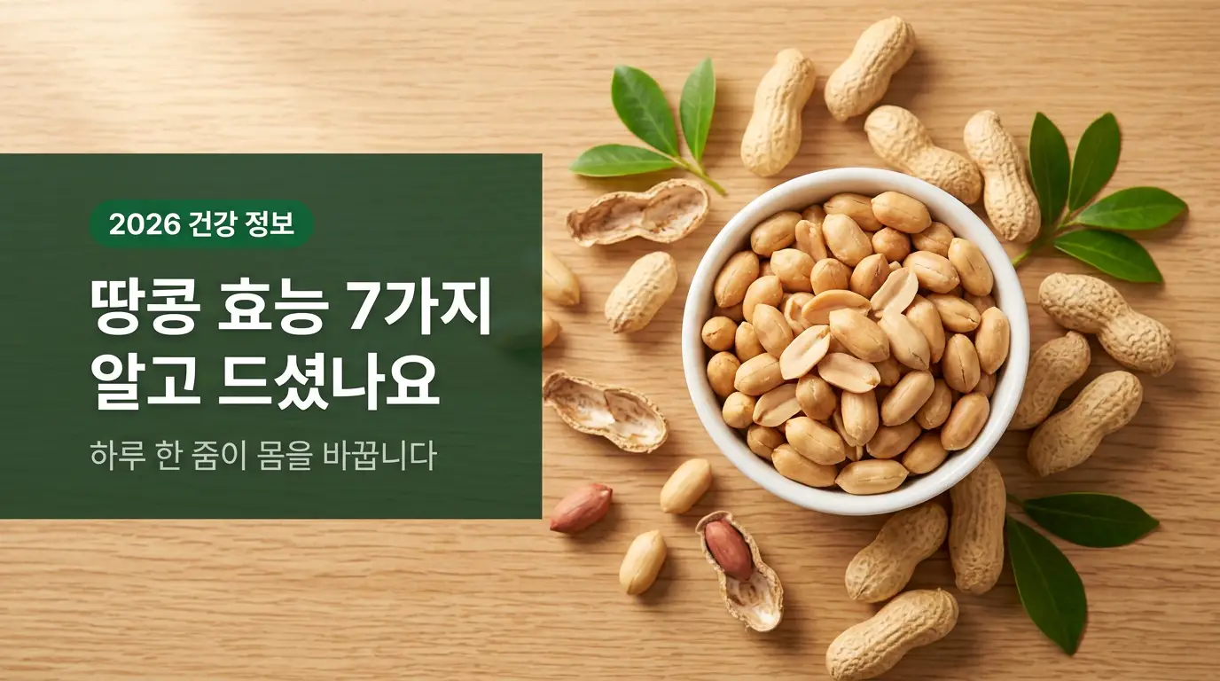 땅콩 효능 7가지 알고 드셨나요 안내 썸네일