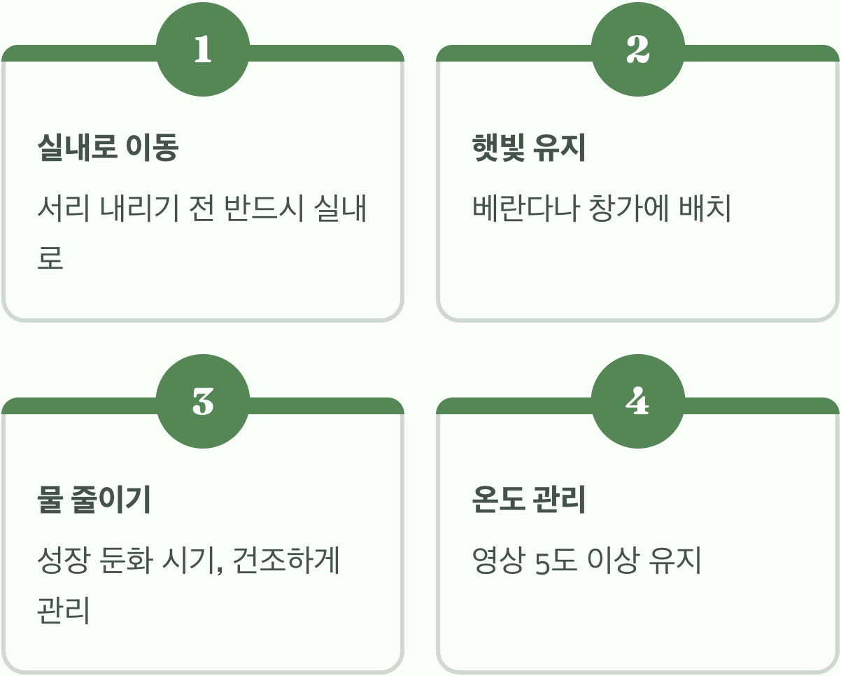 추위는 싫어요, 겨울나기 준비