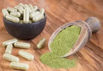 모링가 효능 및 영양성분, 주의점