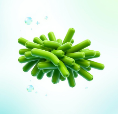 갱년기유산균yt1-효과-성분-복용시간