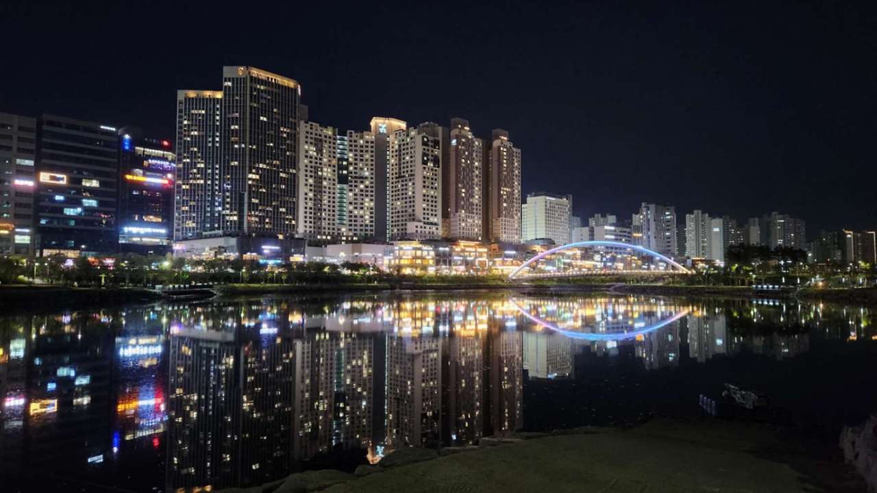 하남 반려견 겨울 나들이 명소, 강아지와 함께 산책하기 좋은 곳 추천