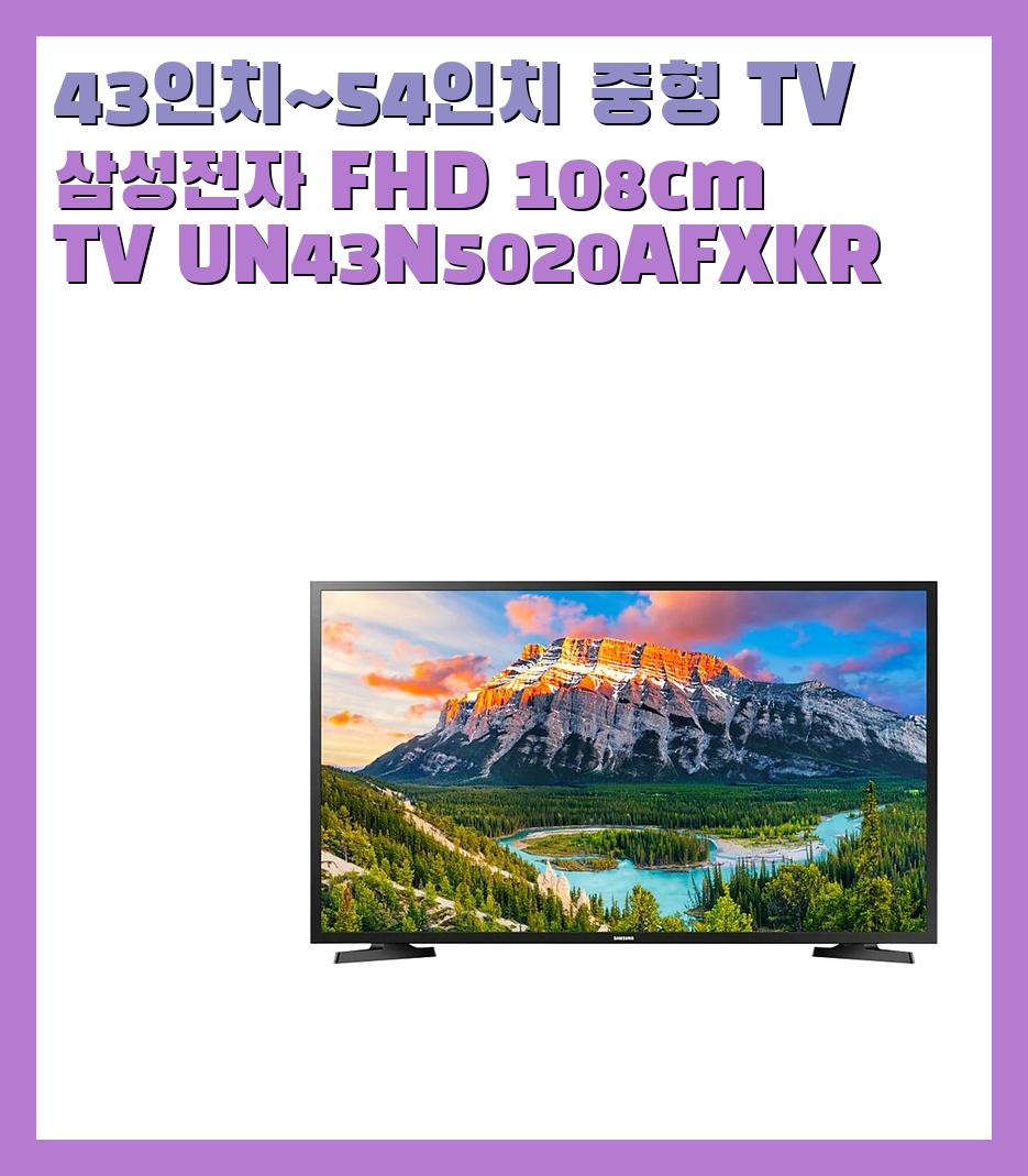 43인치~54인치 중형 TV