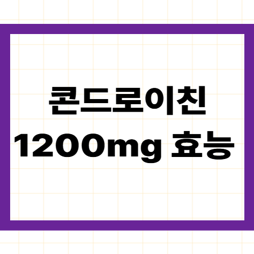 콘드로이친 1200mg 효능 &mdash;
3개월 만에 통증 36% 줄이는
관절&middot;연골 건강의 핵심 성분 총정리