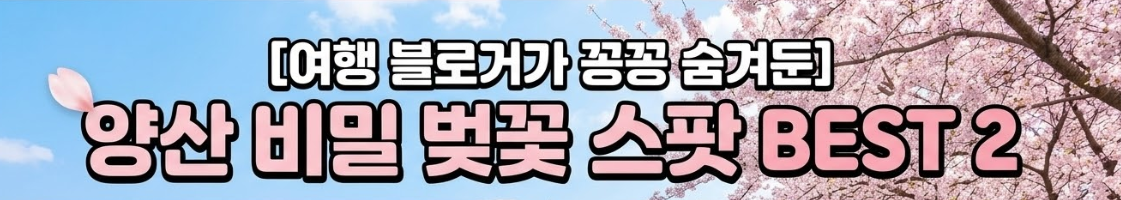 양산 벚꽃 명소