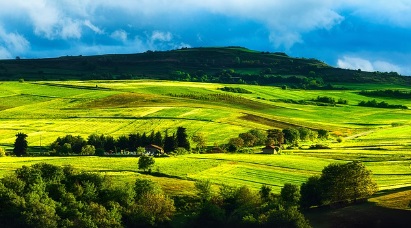 농지연금 가입조건 가입절차 및 제출서류