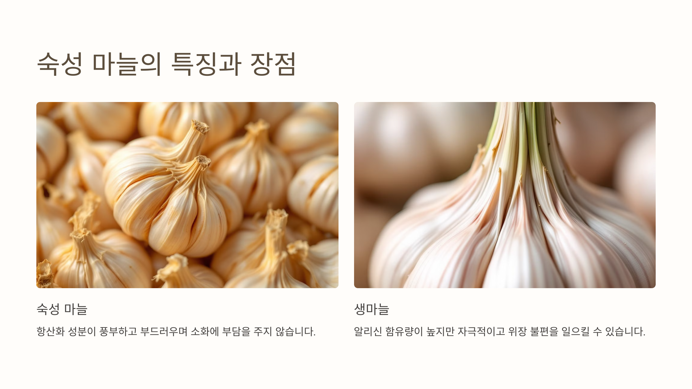 숙성 마늘의 효능