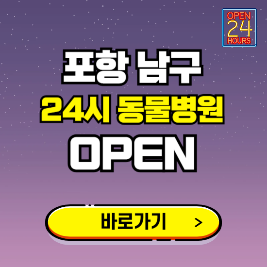 포항시 남구 24시 동물병원 진료하는 곳 ❘ 설날 휴일 야간 심야 문여는곳 찾기 ❘ 응급진료