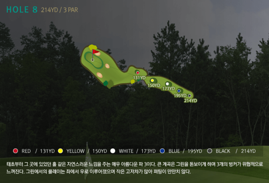 페럼클럽 동코스 공략도 08