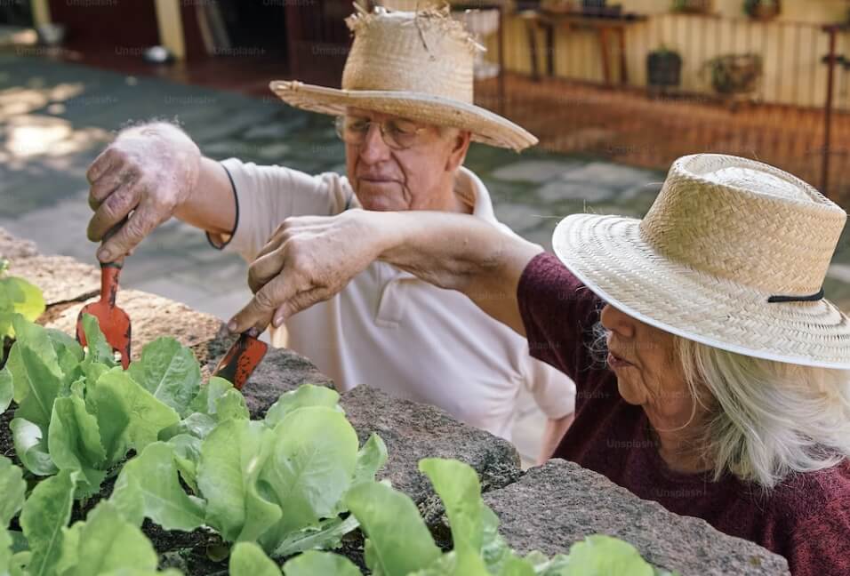 채소 가구는 노인부부