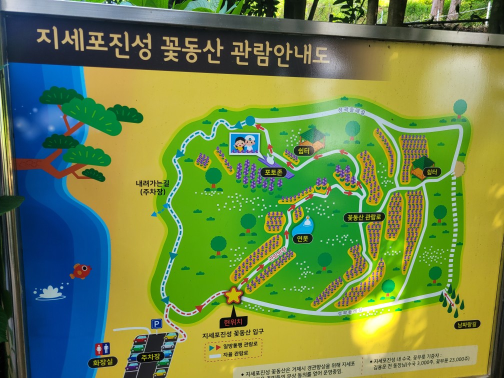 수국축제