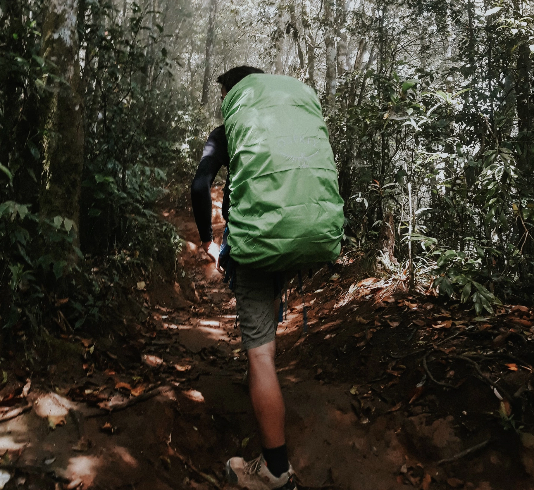 불수사도북 산악마라톤