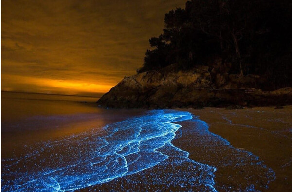 몰디브-별의-바다-4