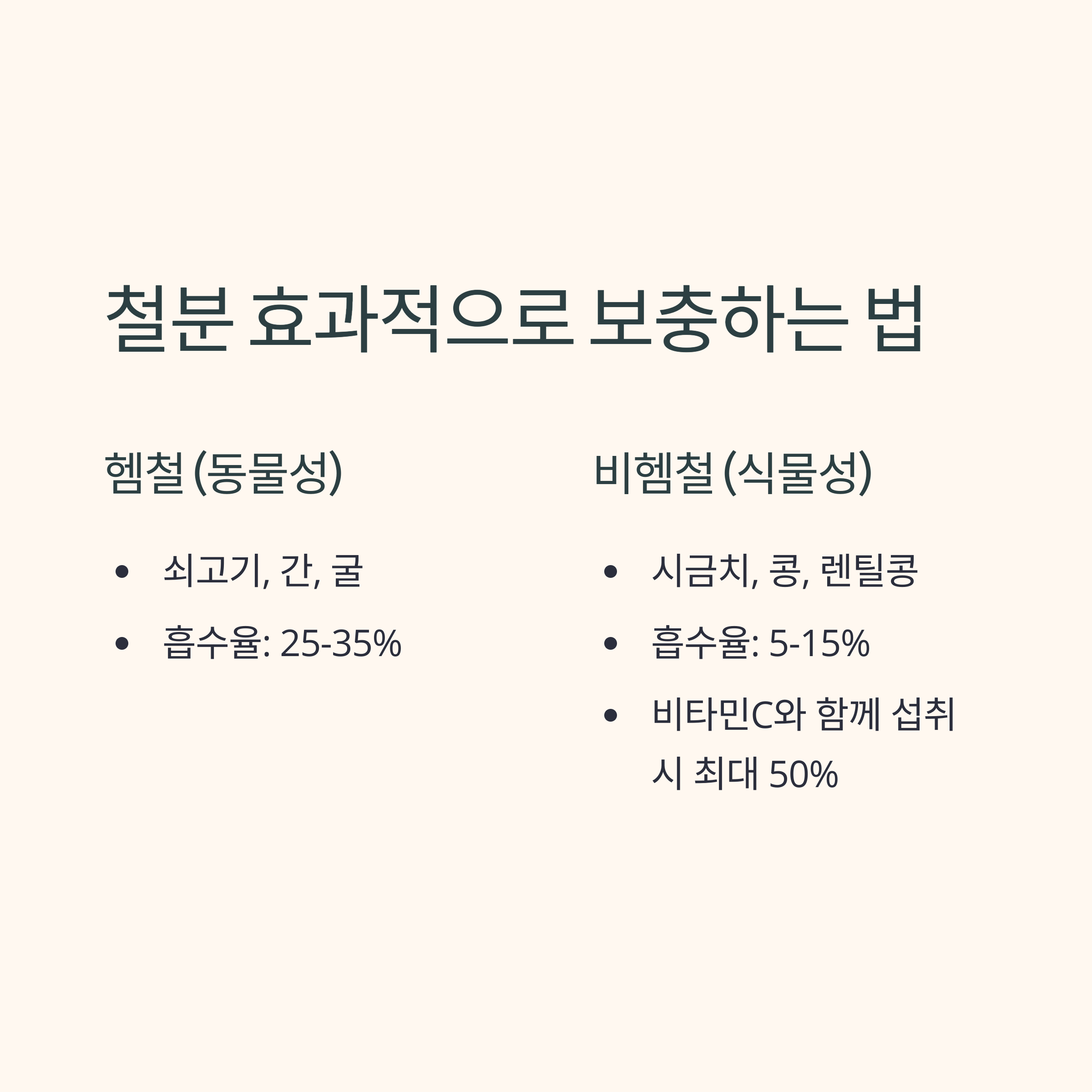 철분 효과적으로 보충하는 법