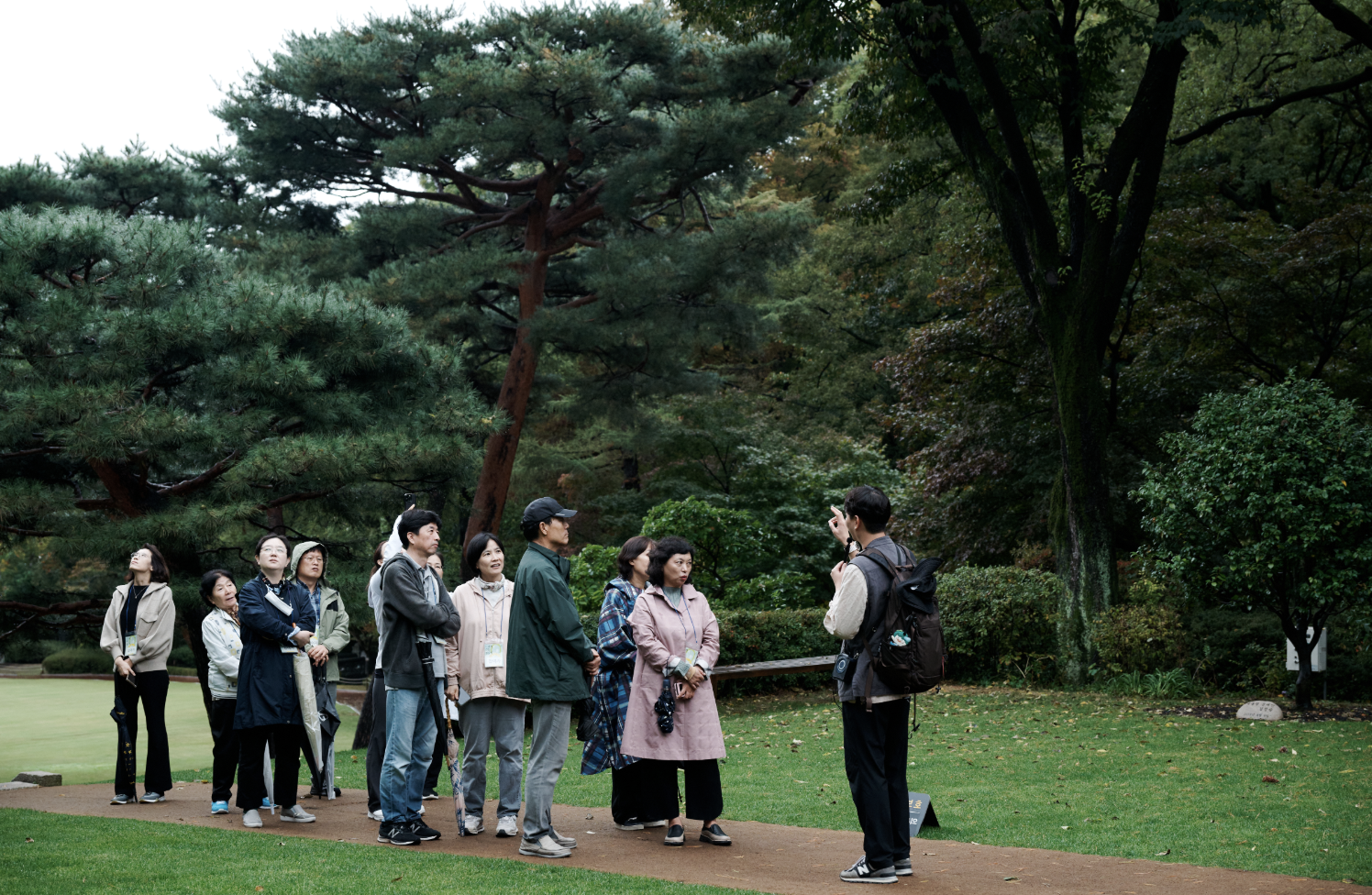 2025 청와대 밤마실&amp;#44; 6일간의 특별한 개방 봄밤 특별한 산책 예약 시작