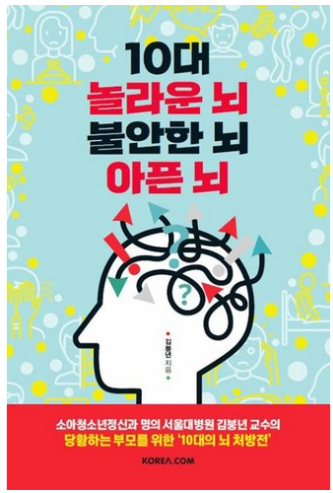 10대 놀라운 뇌 불안한 뇌 아픈 뇌 / 김붕년, 코리아닷컴