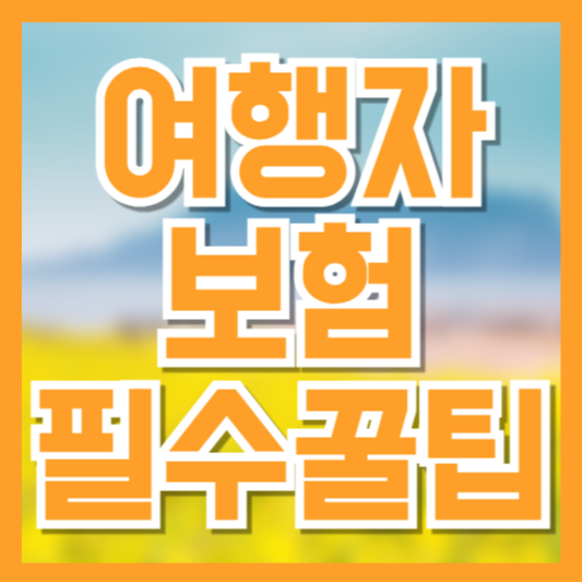 여행자 보험 가입 전 꼭 알아야 할 꿀팁 총정리!